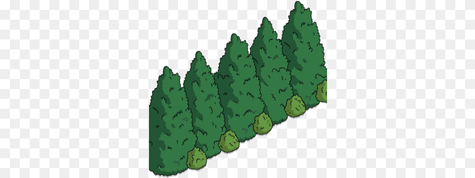 Mansion Gardens Tree Line Tree, Conifer, Fir, Plant, Vegetation Free Transparent Png