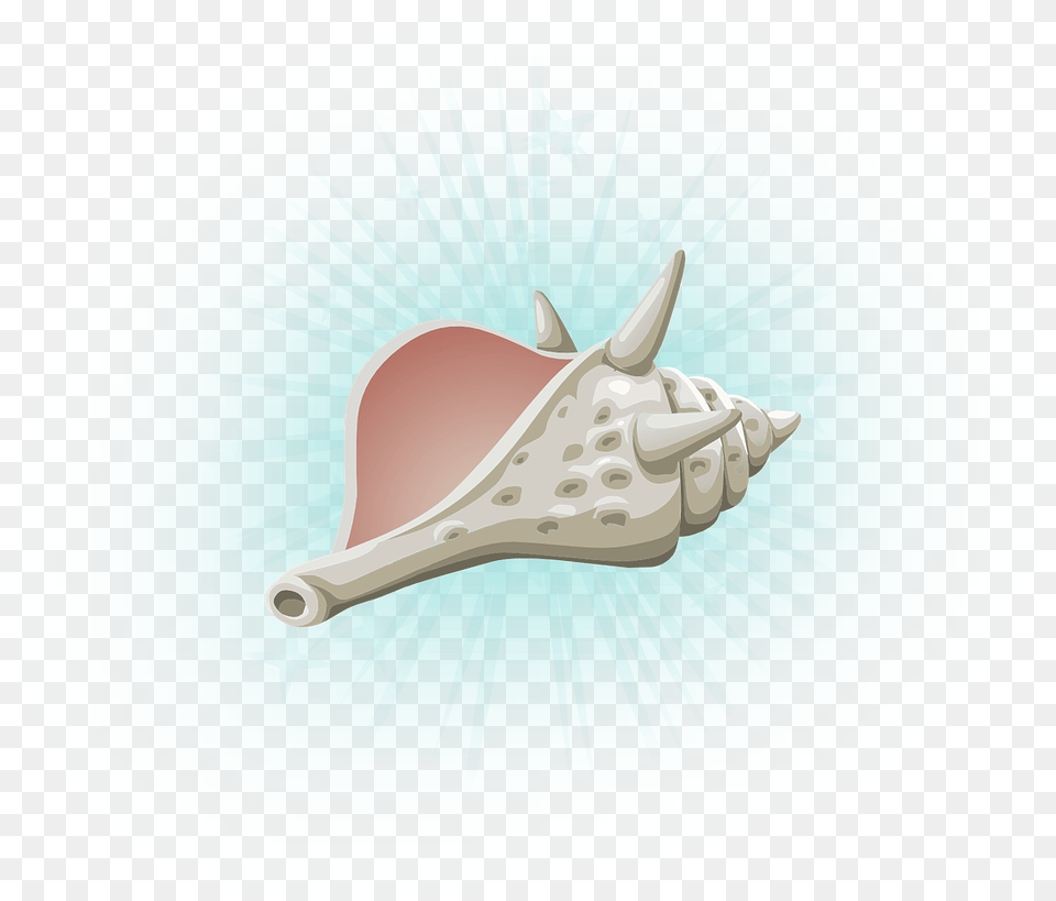 Manta Ray, Animal, Invertebrate, Sea Life, Seashell Png