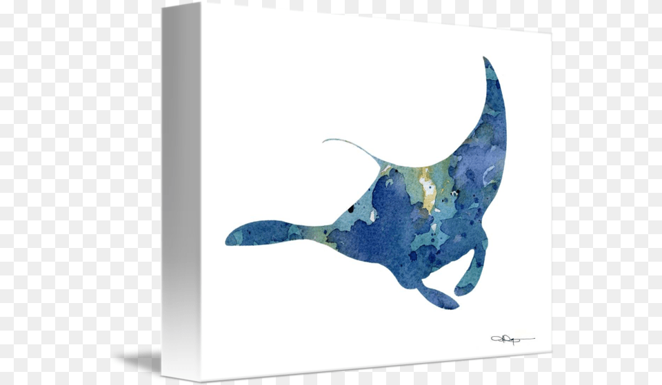 Manta Ray By David Rogers Watercolor Art Manta Ray, Animal, Sea Life, Fish Free Png