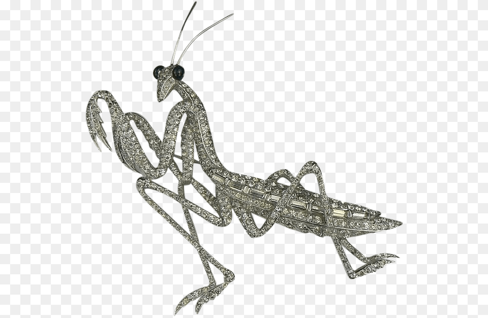 Mantidae, Animal, Grasshopper, Insect, Invertebrate Free Png Download