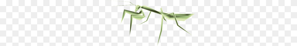 Mantis, Animal, Cross, Symbol, Insect Free Png Download