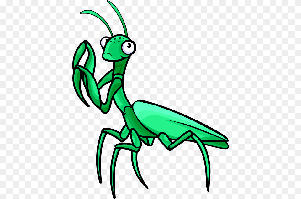 Mantis, Animal, Insect, Invertebrate, Fish Free Transparent Png