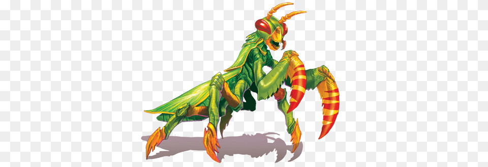 Mantis, Animal, Bee, Insect, Invertebrate Free Transparent Png
