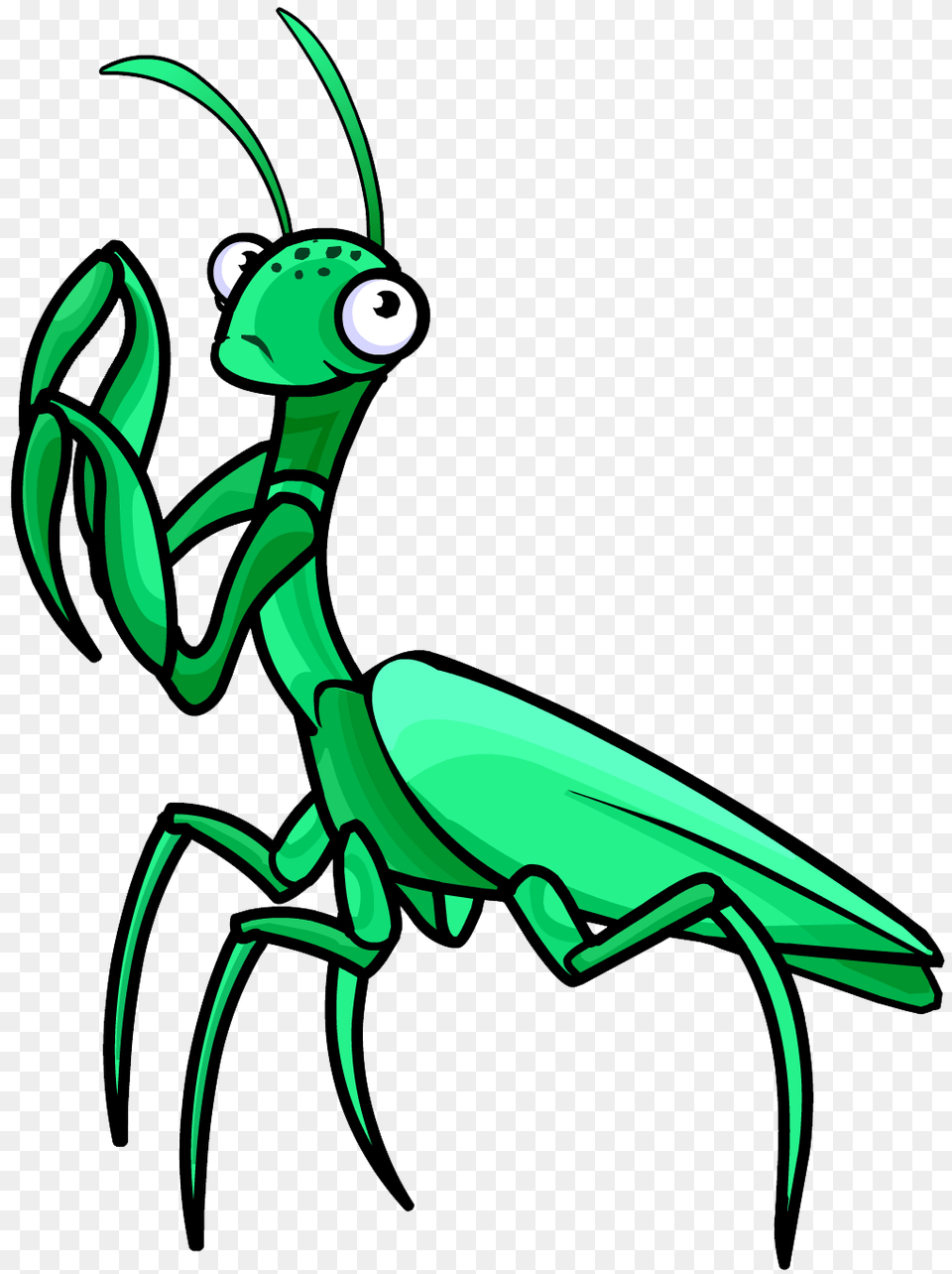 Mantis, Animal, Insect, Invertebrate, Bow Free Png