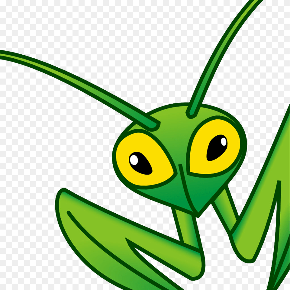 Mantis, Animal, Grasshopper, Insect, Invertebrate Free Transparent Png