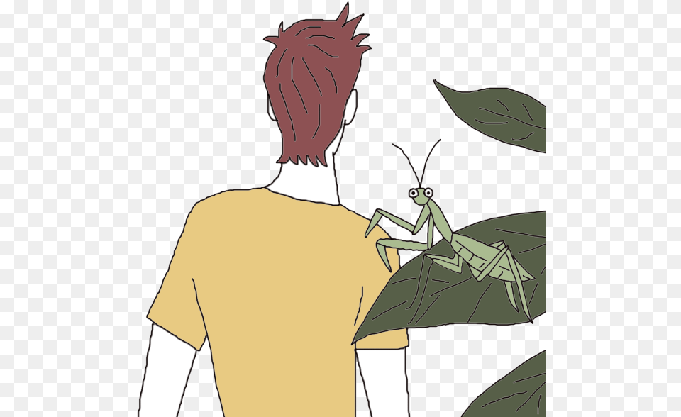 Mantis Cartoon, Adult, Female, Person, Woman Free Transparent Png
