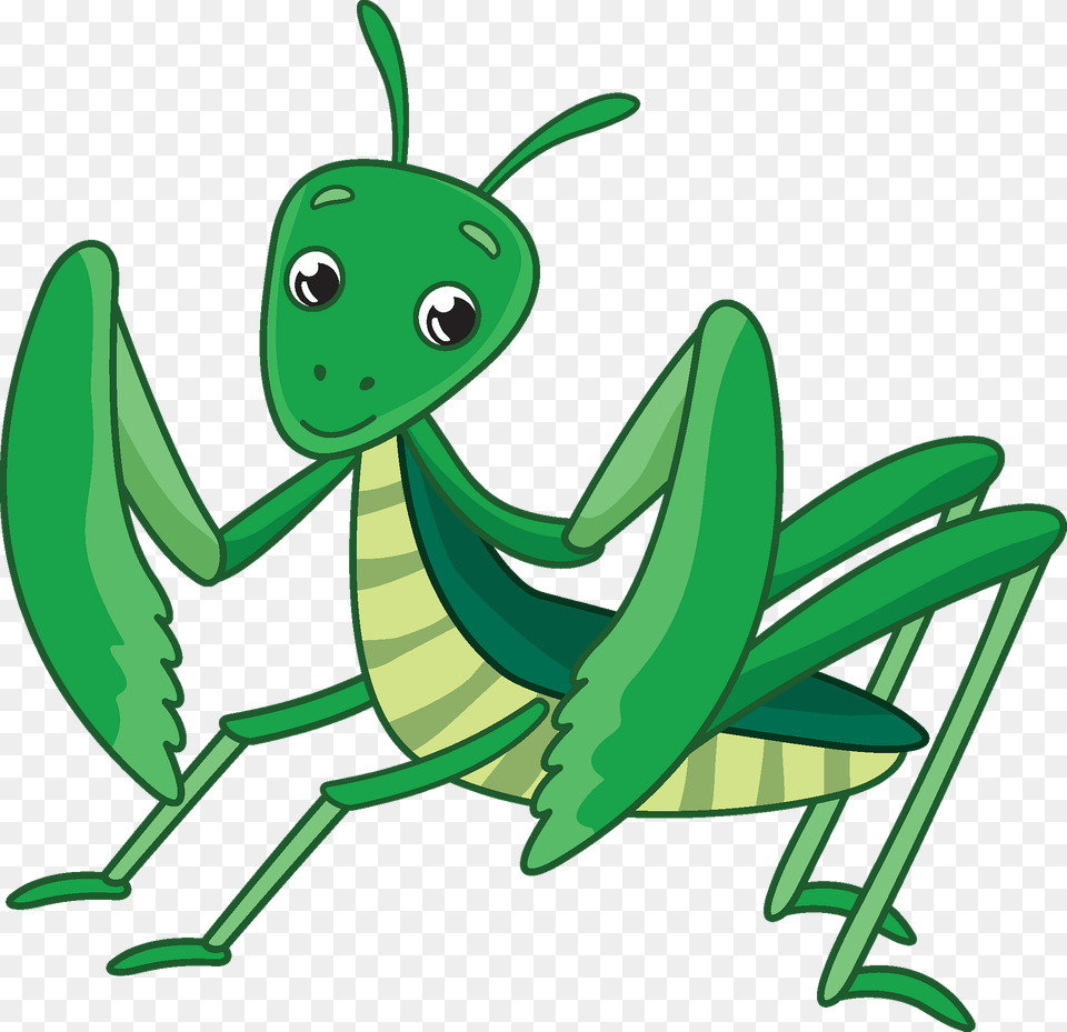 Mantis Clipart, Animal, Grasshopper, Insect, Invertebrate Png Image
