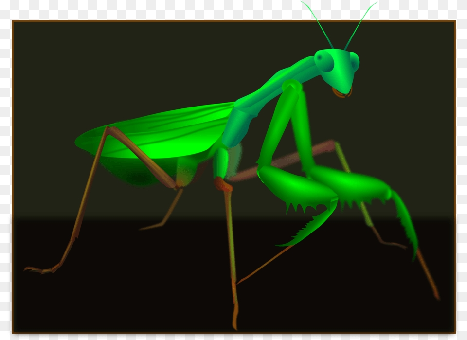 Mantis Grasshopper Insect Pest Cricket Wireless Grasshopper, Animal, Invertebrate Free Png Download