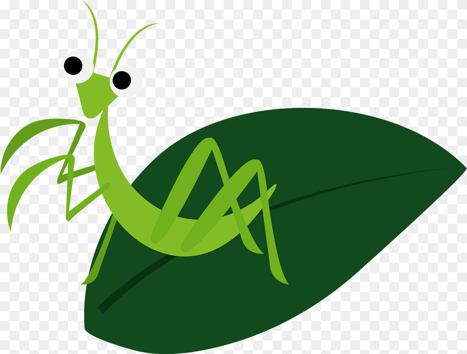 Mantis Insect On A Leaf Clipart, Animal, Invertebrate, Fish, Sea Life Free Transparent Png