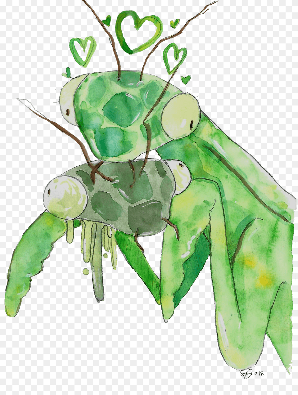 Mantis Love Paint The Town Citrus Insect, Green, Animal, Plant, Invertebrate Free Png Download
