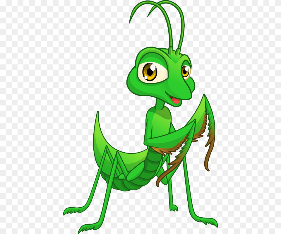 Mantis Small Praying Mantis Cartoon, Animal, Grasshopper, Insect, Invertebrate Png Image
