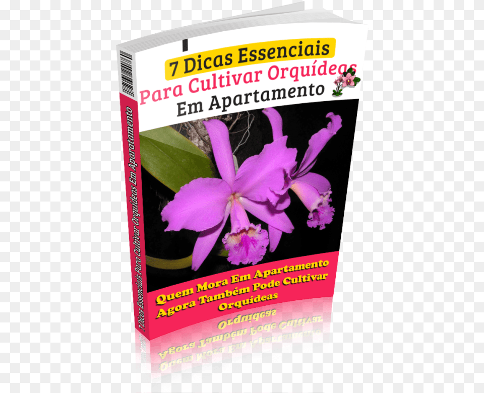 Manual Como Cuidar De Orqudeas Book, Flower, Plant, Advertisement, Poster Free Transparent Png