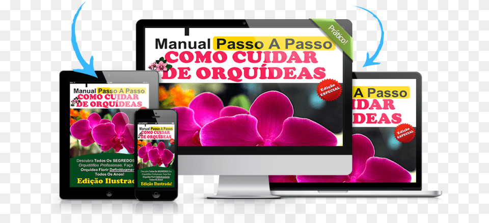 Manual Como Cuidar De Orquidea Social Media Screens, Screen, Plant, Monitor, Hardware Free Png