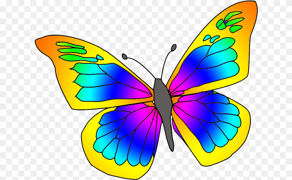 Many Colored Butterfly Clipart Picture Of Butterfly, Animal, Insect, Invertebrate Png