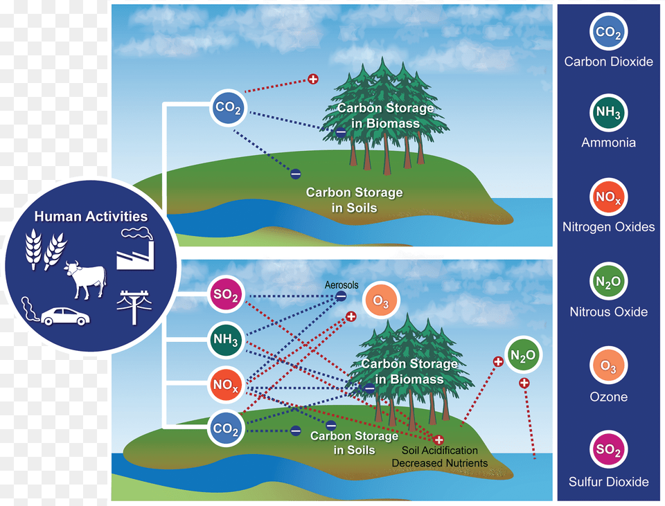 Many Factors Combine To Affect Biogeochemical Cycles, Outdoors, Land, Nature, Poster Png Image