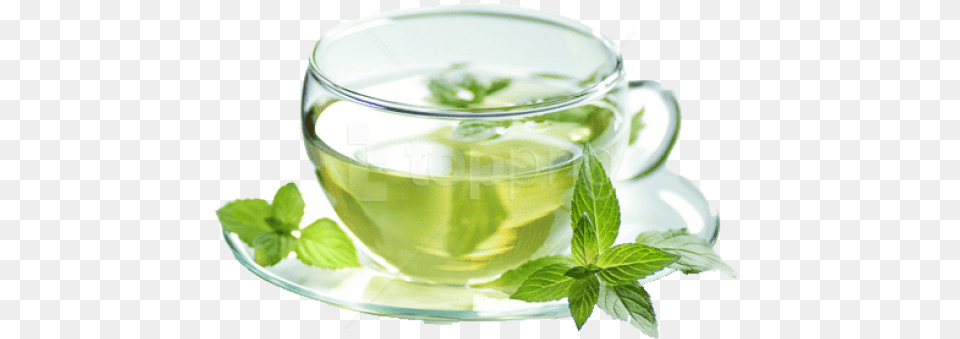 Maofeng Green Tea, Beverage, Green Tea, Herbal, Herbs Png Image