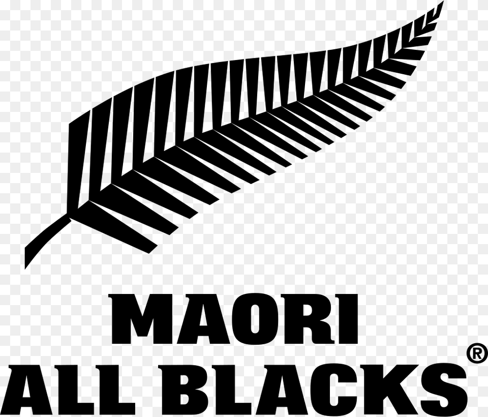Maori All Blacks Logo, Fern, Plant, Leaf, Housing Free Png