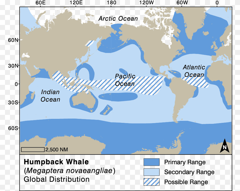 Map, Chart, Plot, Nature, Outdoors Png