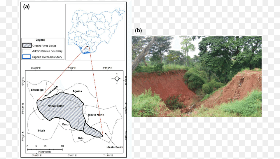 Map, Land, Tree, Soil, Rainforest Png