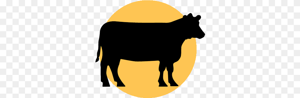 Map Animal Raw Materials Icon, Bull, Mammal, Ox, Outdoors Png