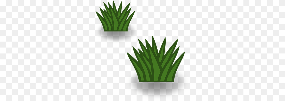 Map Icon Grass, Green, Plant, Vegetation Free Png