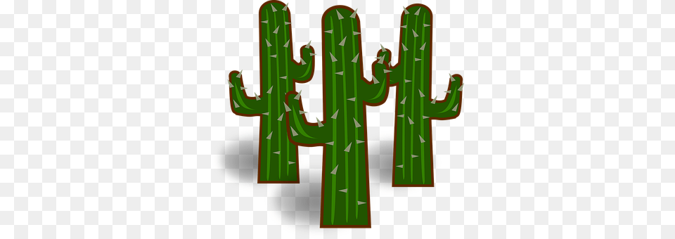 Map Icon Cactus, Plant Png Image