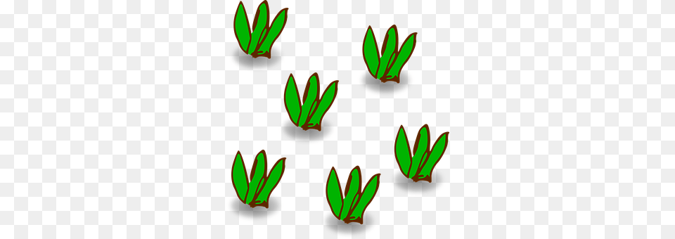 Map Icon Leaf, Plant, Pattern, Art Free Png