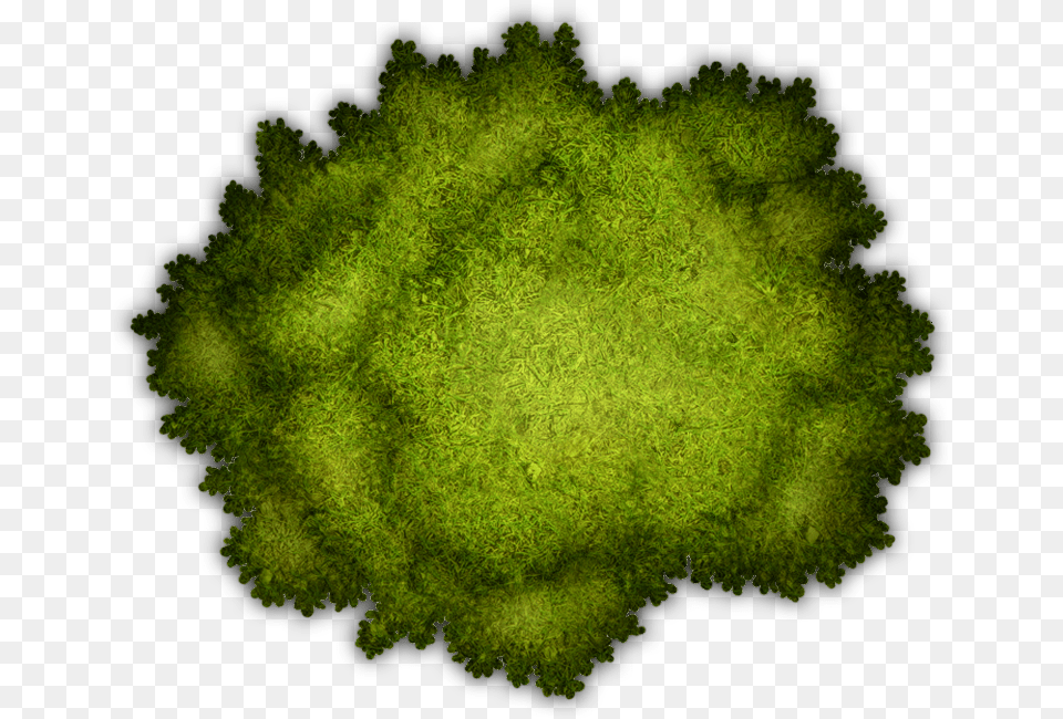 Map Marker Broccoli Tabletop Rpg Game Assets Character Dnd Tree, Green, Moss, Plant, Vegetation Free Transparent Png