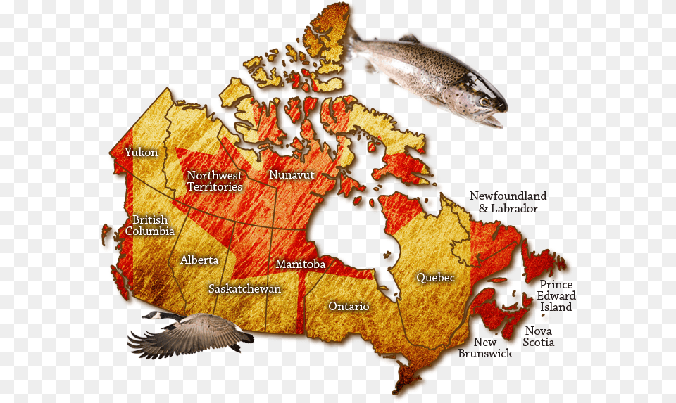 Map Of Canada Fishing Resources In Canada, Animal, Fish, Sea Life, Bird Png Image