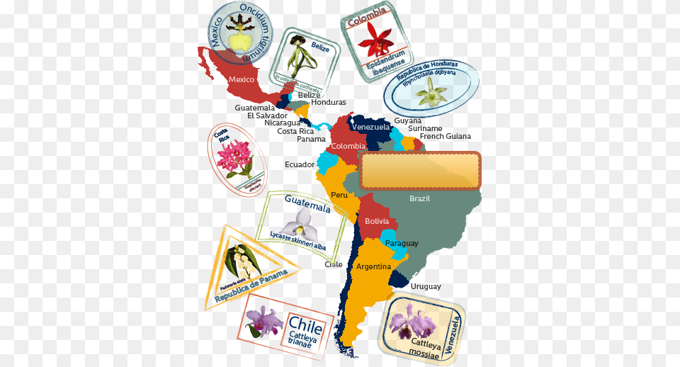 Map Of Latin America Latin America Cultural Map, Chart, Plot, Person Png