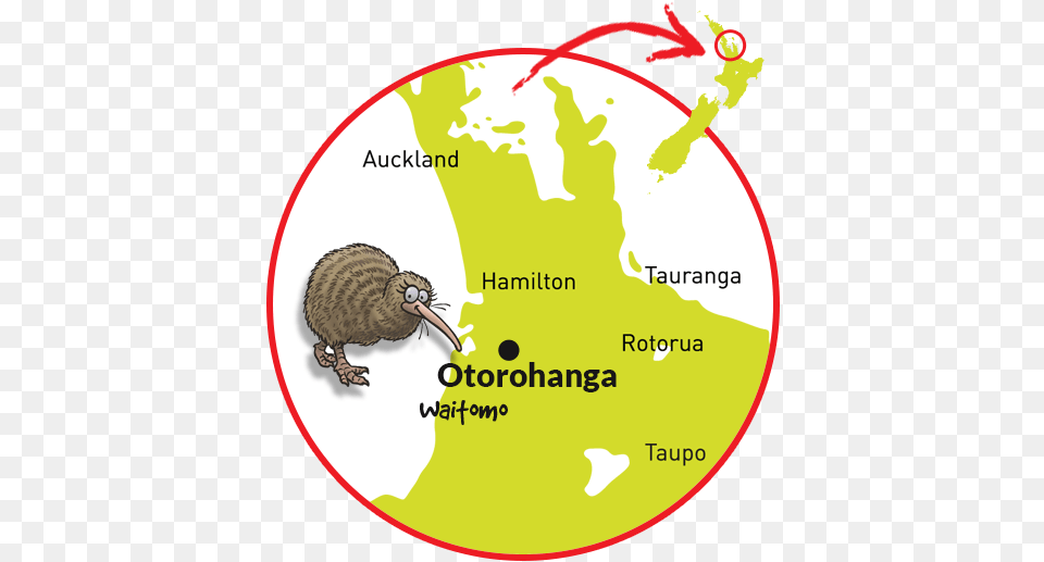 Map Of Otorohanga39s Kiwihouse New Zealand Country Sticker Truck Car Window Laptop, Animal, Bird, Kiwi Bird Free Png