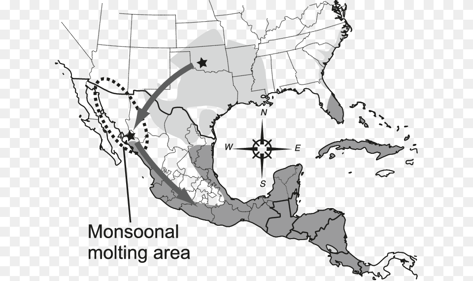Map Of Southern United States And Mexico Showing Breeding Distribution Of Montezuma Bald Cypress, Chart, Plot, Atlas, Diagram Free Png