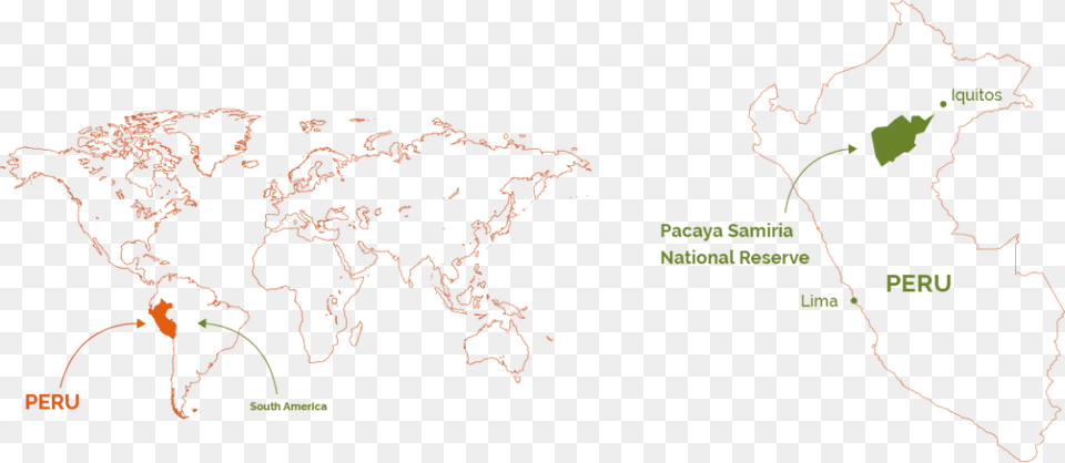 Map Of The World, Vegetation, Tree, Rainforest, Plot Free Transparent Png