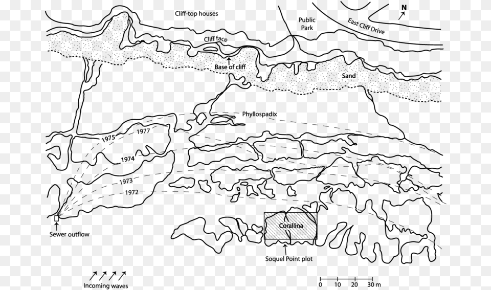 Map Showing Expansion Of Area Without Surfgrass Blades Line Art Png Image