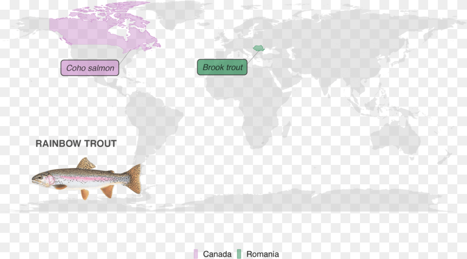 Map Showing Substitutes Color Coded By Country Atlas, Animal, Sea Life, Fish, Trout Free Png Download