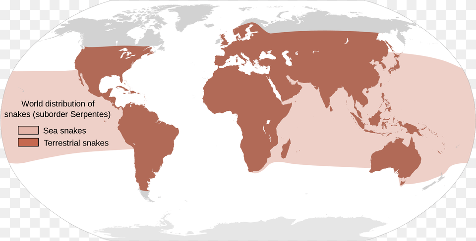 Map Showing The Approximate World Distribution Of Snakes Snakes Found In The World, Chart, Plot, Atlas, Diagram Png