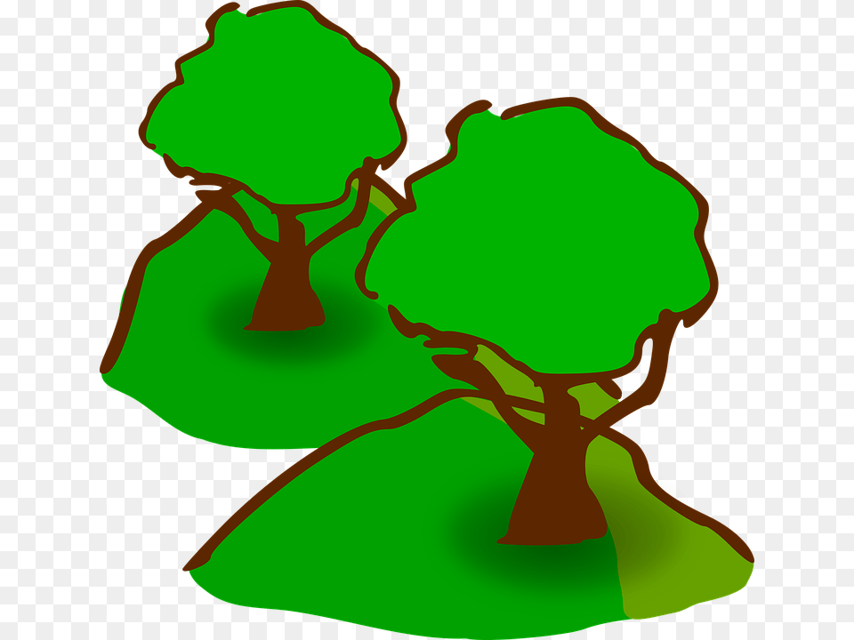 Map Symbol For Trees, Adult, Person, Woman, Formal Wear Free Png