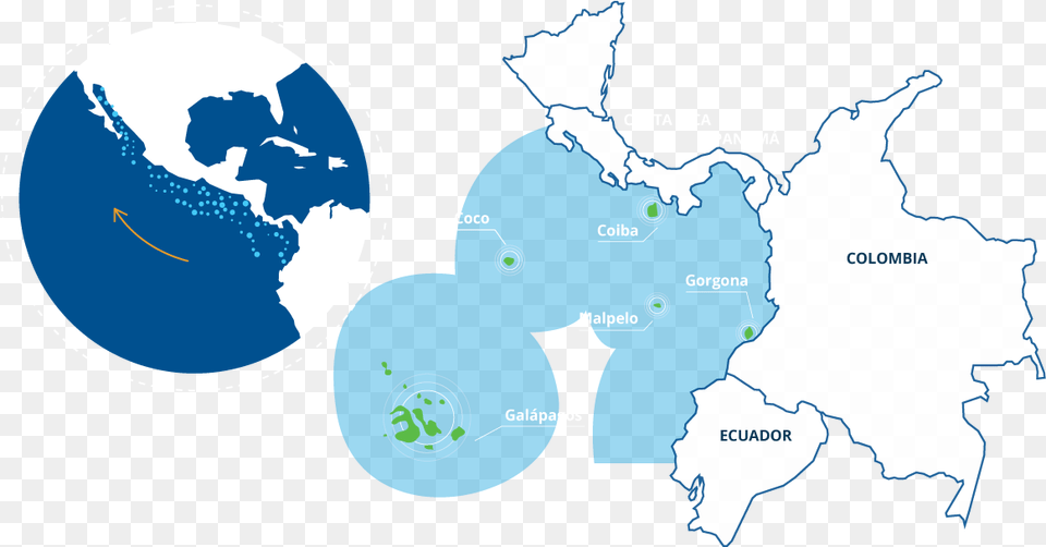 Mapa Colombia, Chart, Plot, Adult, Wedding Png Image