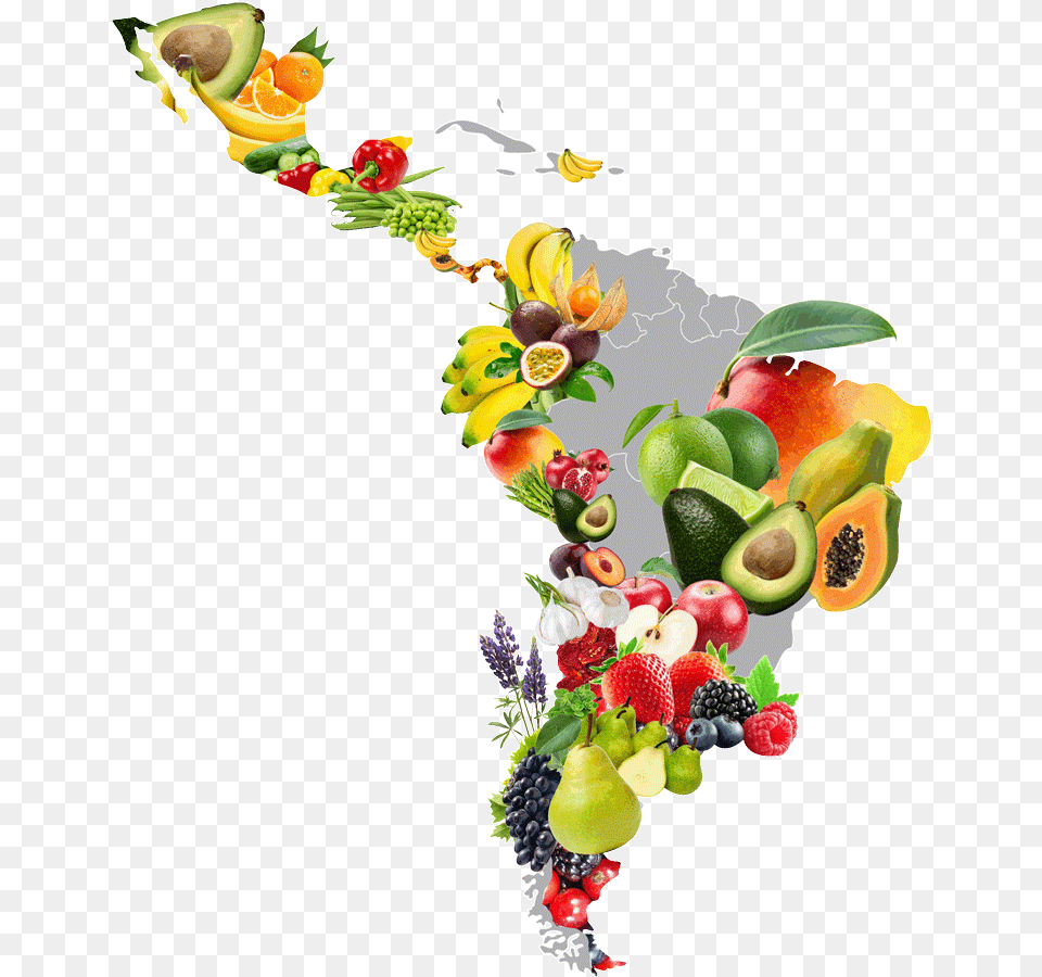 Mapa De Honduras Con Frutas, Produce, Plant, Fruit, Food Free Png Download
