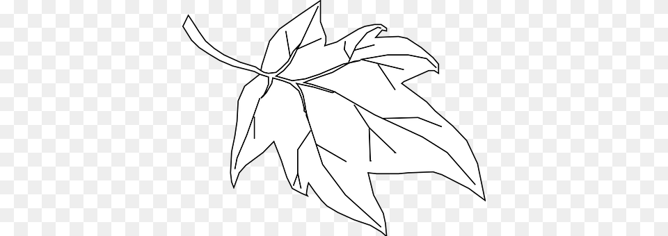 Maple Leaf, Plant, Maple Leaf, Animal Png Image