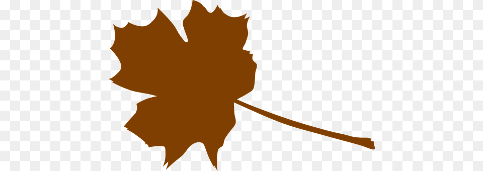 Maple Leaf, Maple Leaf, Plant, Person Free Png