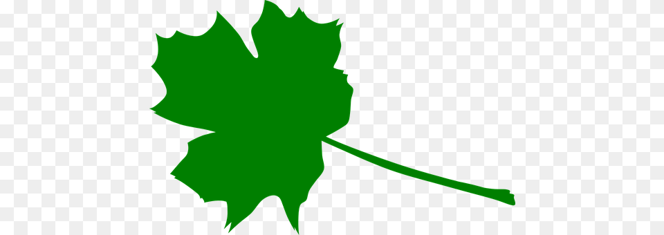 Maple Leaf, Maple Leaf, Plant, Tree Png Image