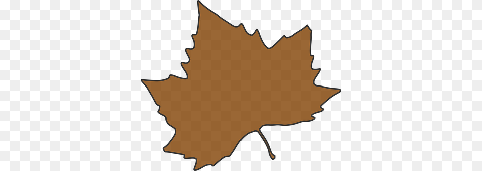 Maple Leaf, Maple Leaf, Plant, Person Png