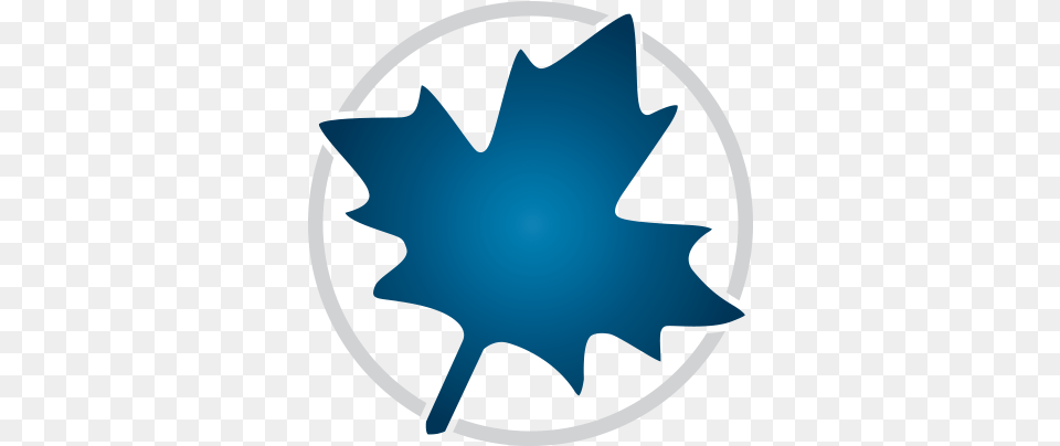 Maple, Leaf, Plant, Maple Leaf Free Png