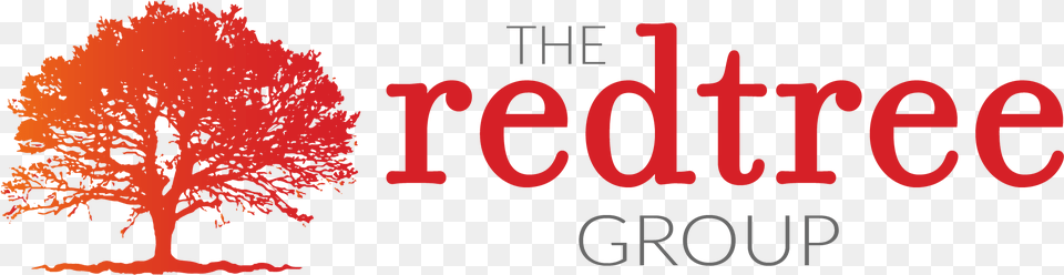 Maple, Plant, Tree, Outdoors Free Png Download