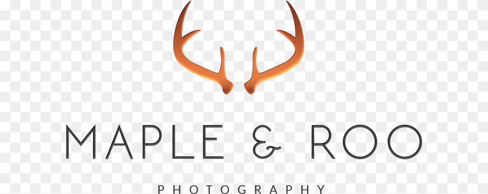 Maple Amp Roo Photography Calligraphy, Antler Png