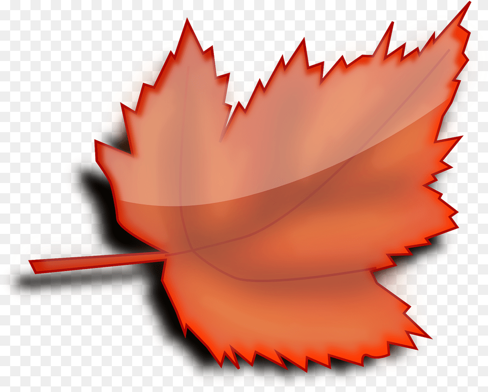 Maple Autumn Fall Leaf Orange Clipart Transparent Background Autumn Leaf Transparent, Plant, Tree, Maple Leaf Png Image