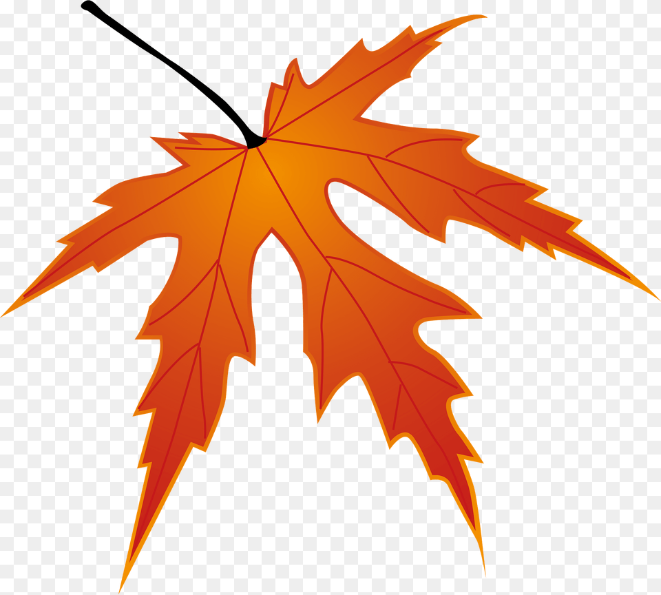 Maple Autumn Leaf Clipart, Plant, Tree, Maple Leaf, Animal Free Png