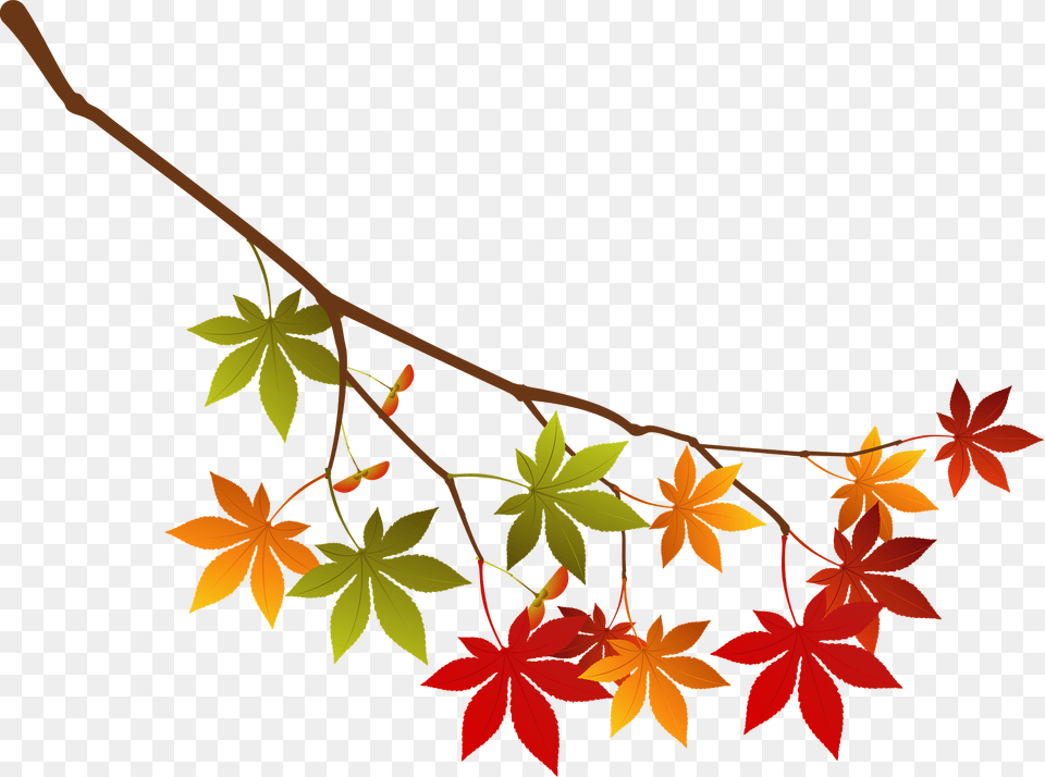 Maple Autumn Leaves Branch Clipart, Leaf, Plant, Tree, Art Free Png Download