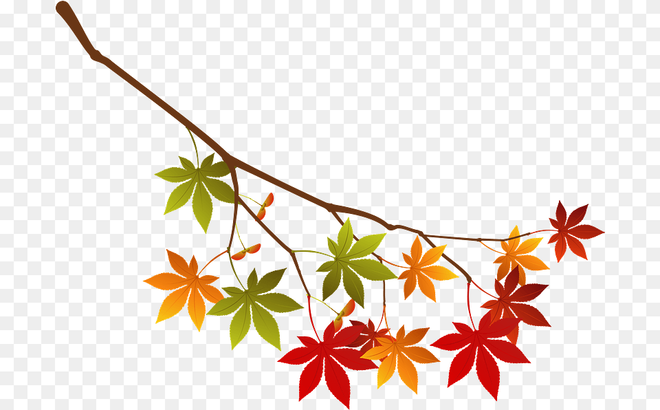 Maple Autumn Leaves Branch Clipart Sweetgums, Leaf, Plant, Tree, Device Free Png Download